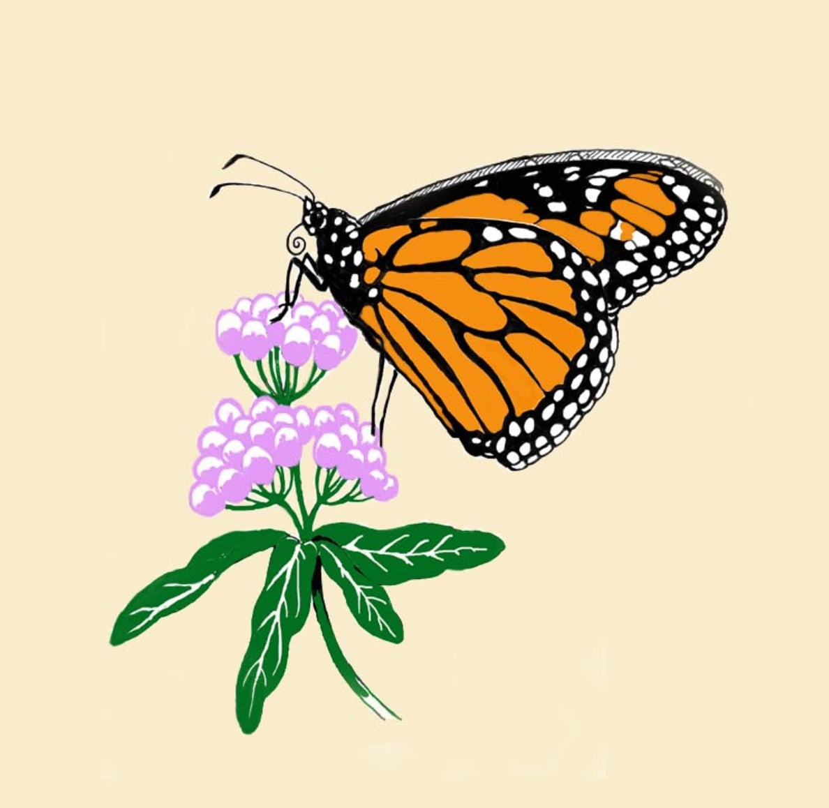 MALIBU MONARCH PROJECT DONATION