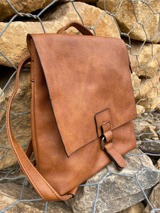 Brown or Black Backpack