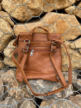 Brown or Black Backpack