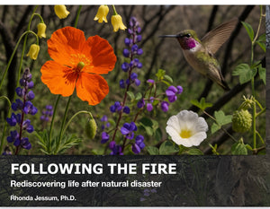 FOLLOWING THE FIRE: REDISCOVERING LIFE AFTER NATURAL DISASTER