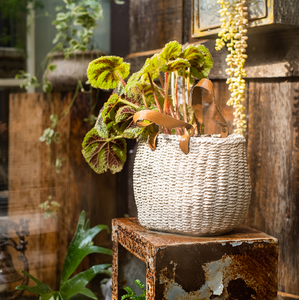 Straw Bag with Faux Leather Handles Cement Planter