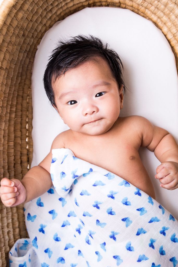 ORGANIC SWADDLE SET - GLOWING GARDEN (Sunflower + Blue Butterfly)