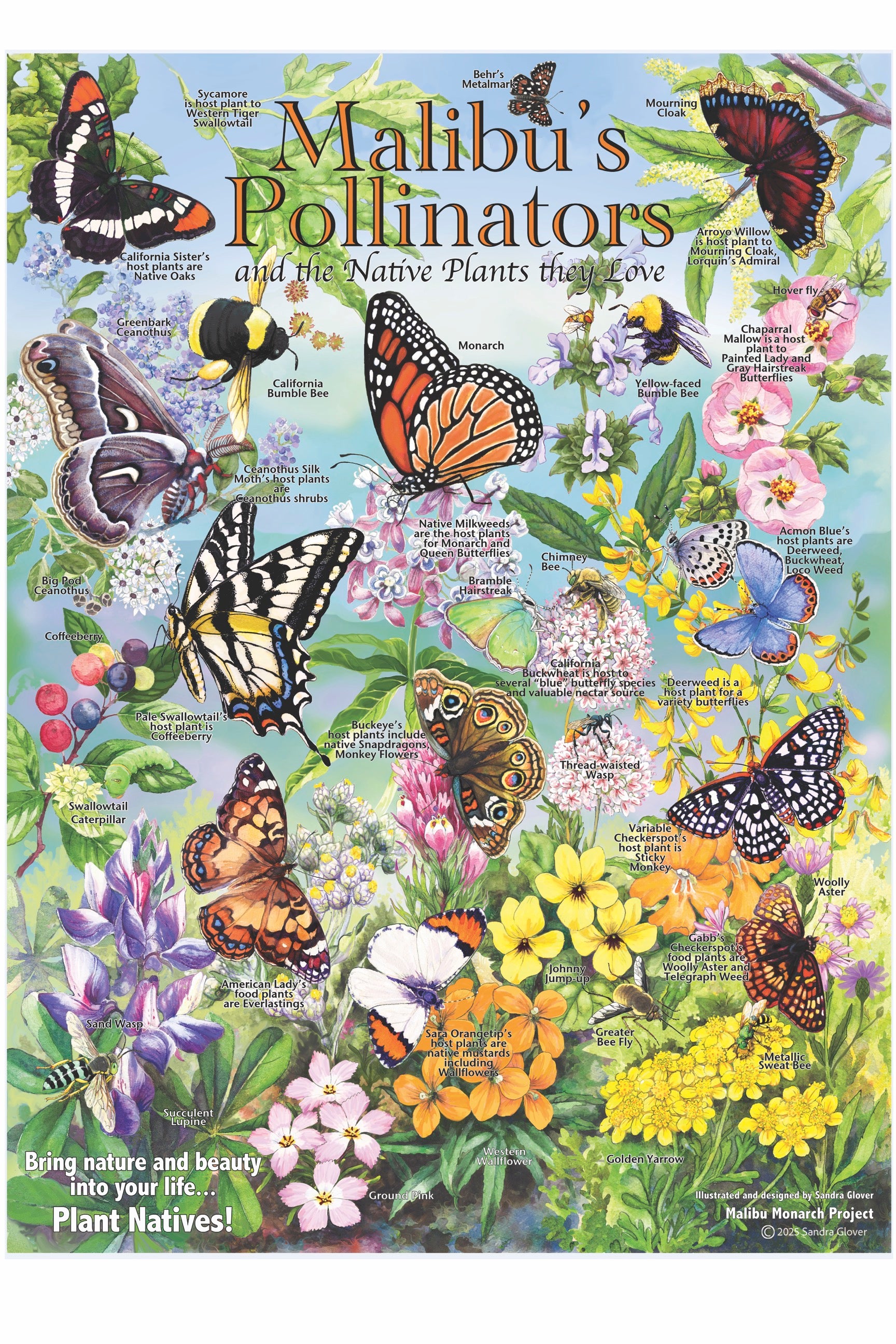 MALIBU'S POLLINATORS POSTER – OUR COMMON HEART