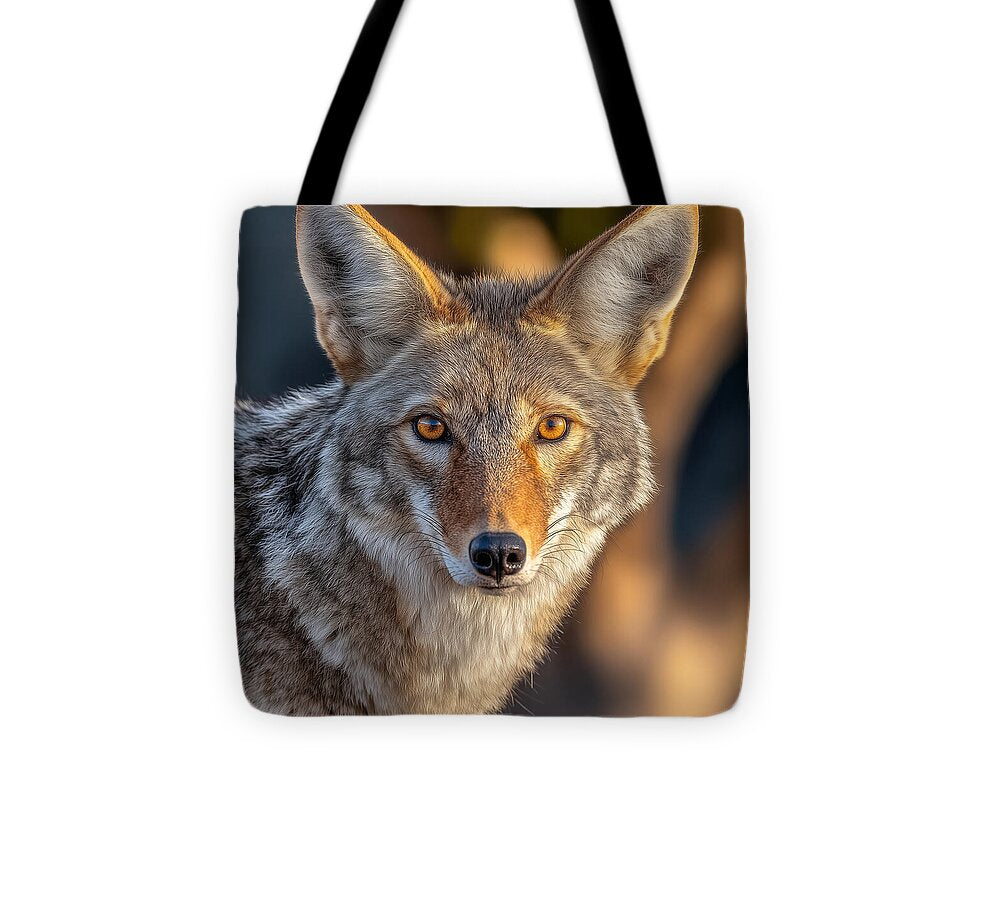 Alert Coyote Staring Forward - Tote Bag