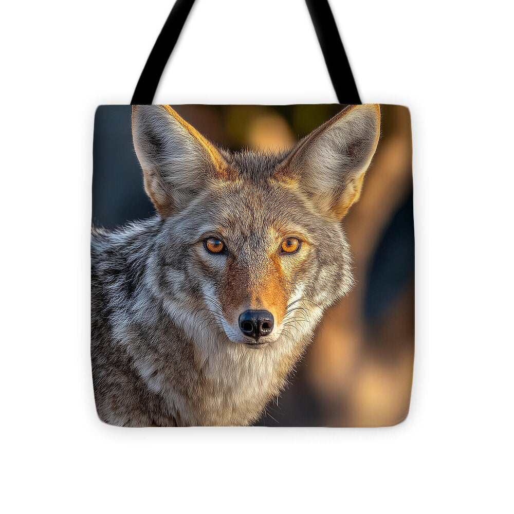Alert Coyote Staring Forward - Tote Bag