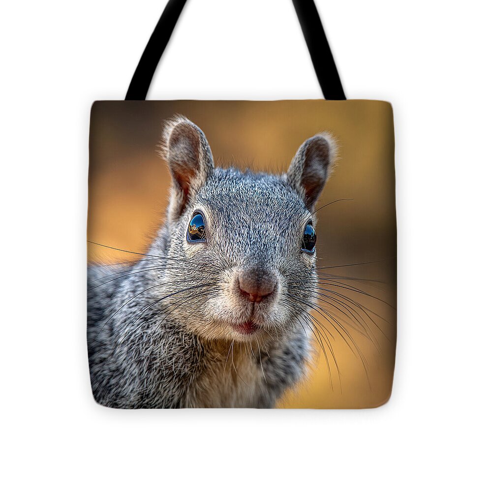 Close-Up of a Curious Squirrel - Tote Bag