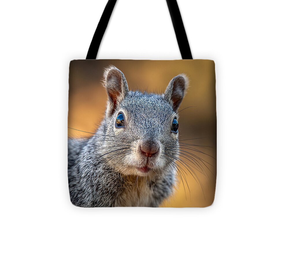 Close-Up of a Curious Squirrel - Tote Bag