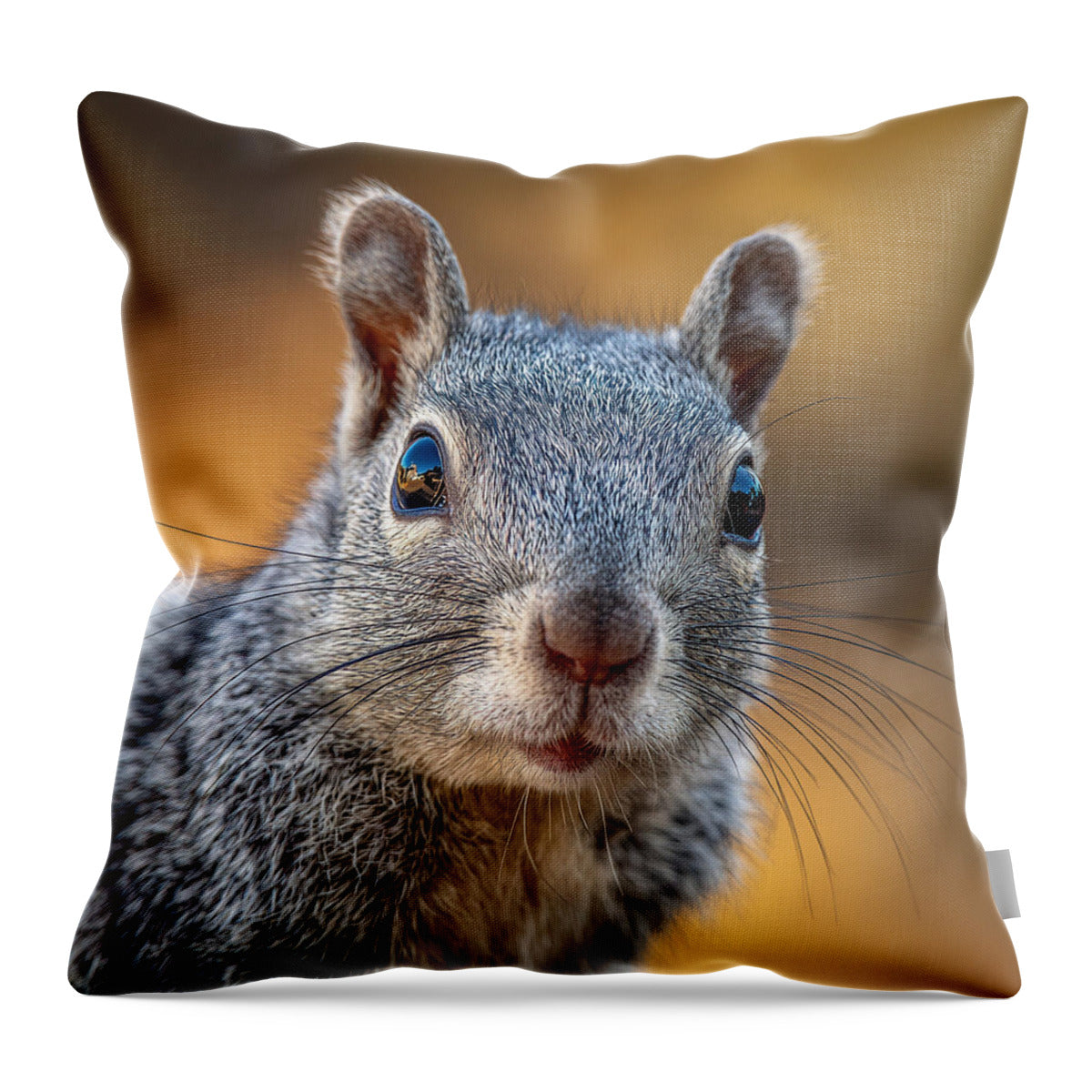 Close-Up of a Curious Squirrel - Throw Pillow