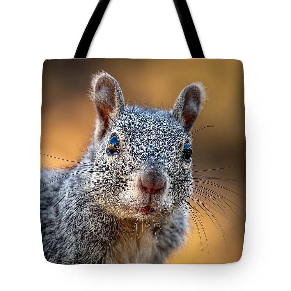 Close-Up of a Curious Squirrel - Tote Bag