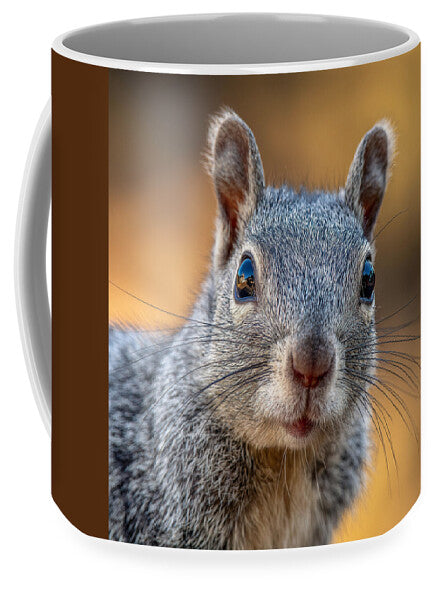 Close-Up of a Curious Squirrel - Mug