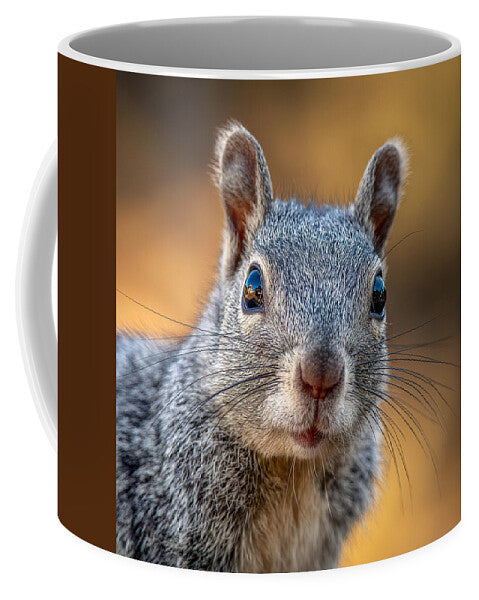 Close-Up of a Curious Squirrel - Mug