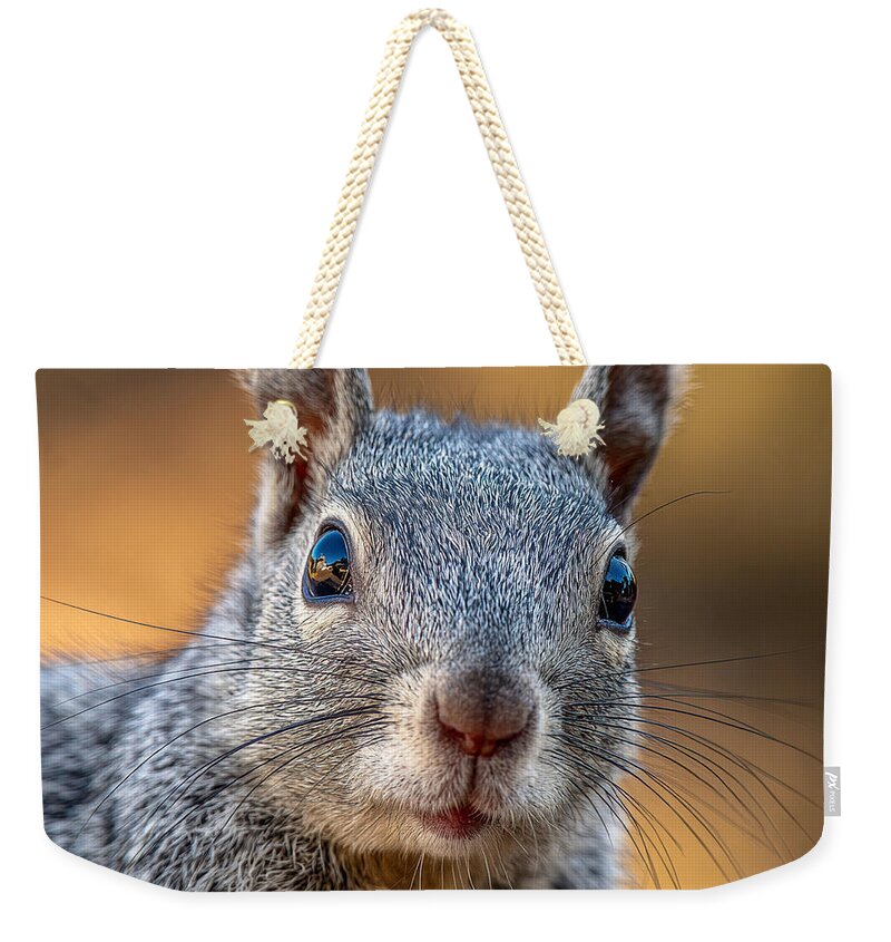 Close-Up of a Curious Squirrel - Weekender Tote Bag