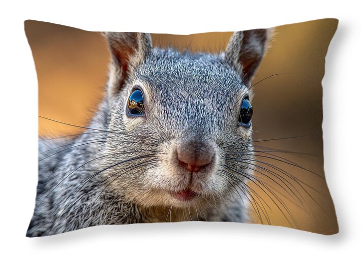 Close-Up of a Curious Squirrel - Throw Pillow