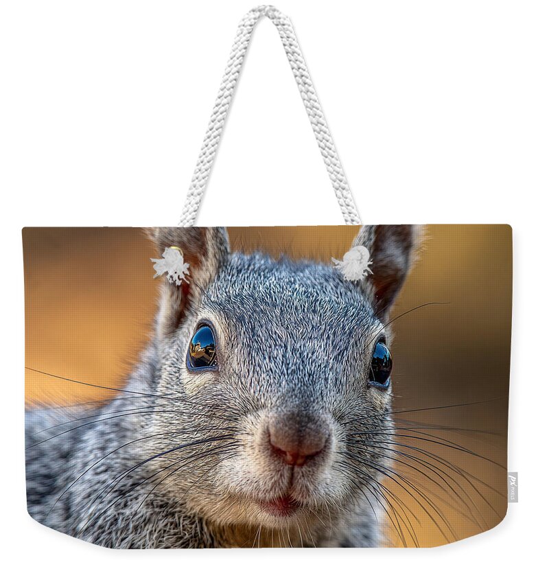 Close-Up of a Curious Squirrel - Weekender Tote Bag