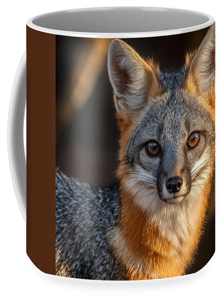 Close-up of a Gray Fox - Mug