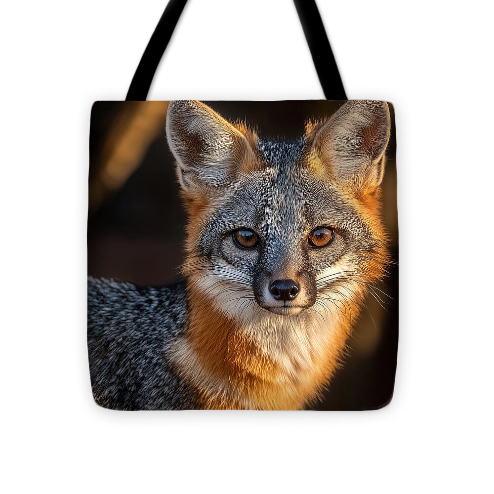 Close-up of a Gray Fox - Tote Bag