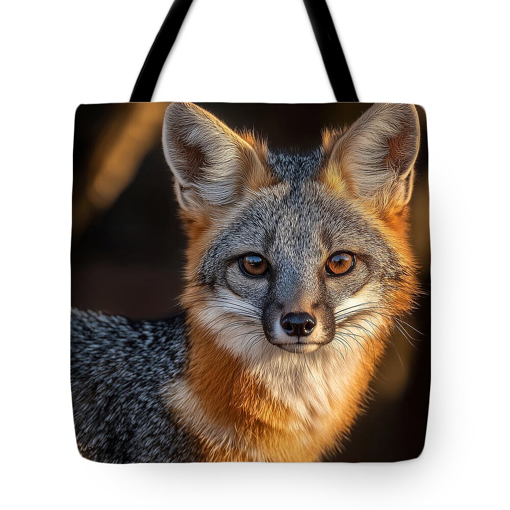 Close-up of a Gray Fox - Tote Bag