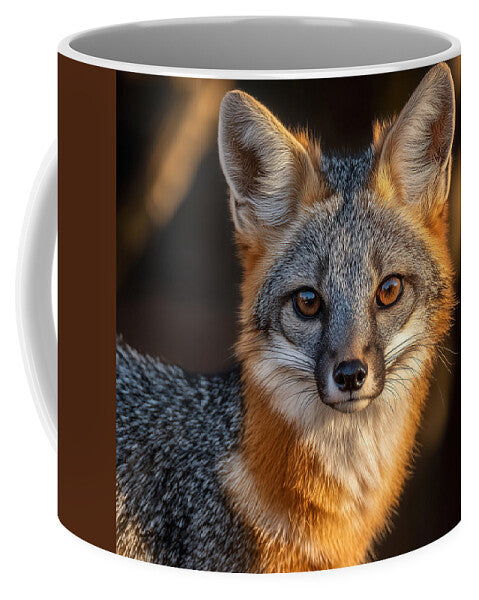 Close-up of a Gray Fox - Mug
