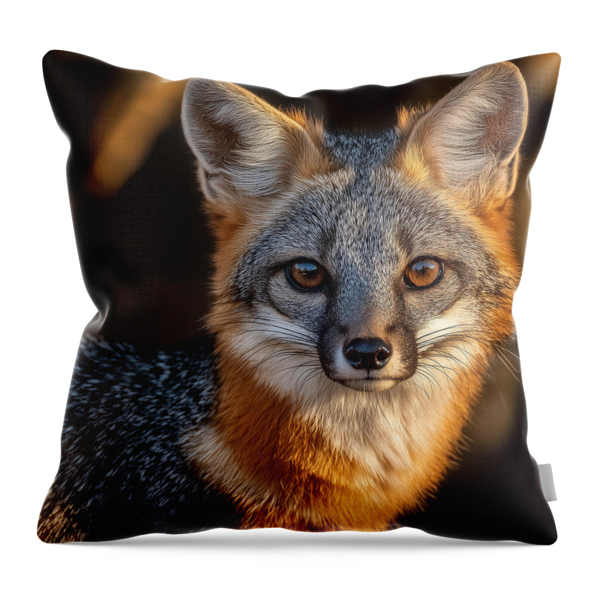 Close-up of a Gray Fox - Throw Pillow