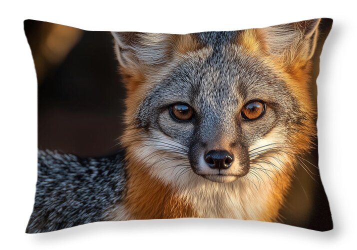 Close-up of a Gray Fox - Throw Pillow