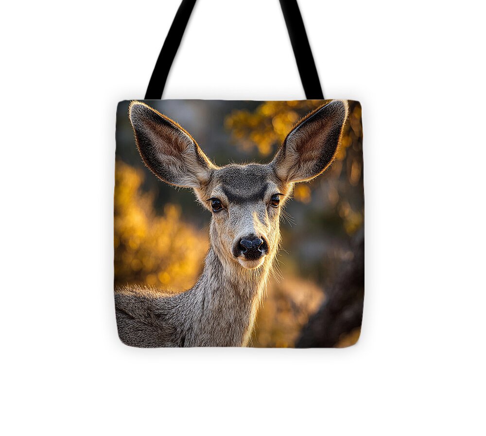 Curious Deer in Autumn Light - Tote Bag