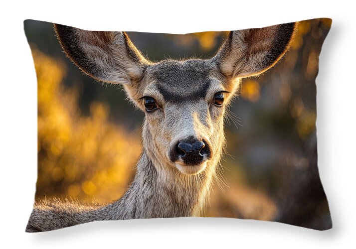 Curious Deer in Autumn Light - Throw Pillow