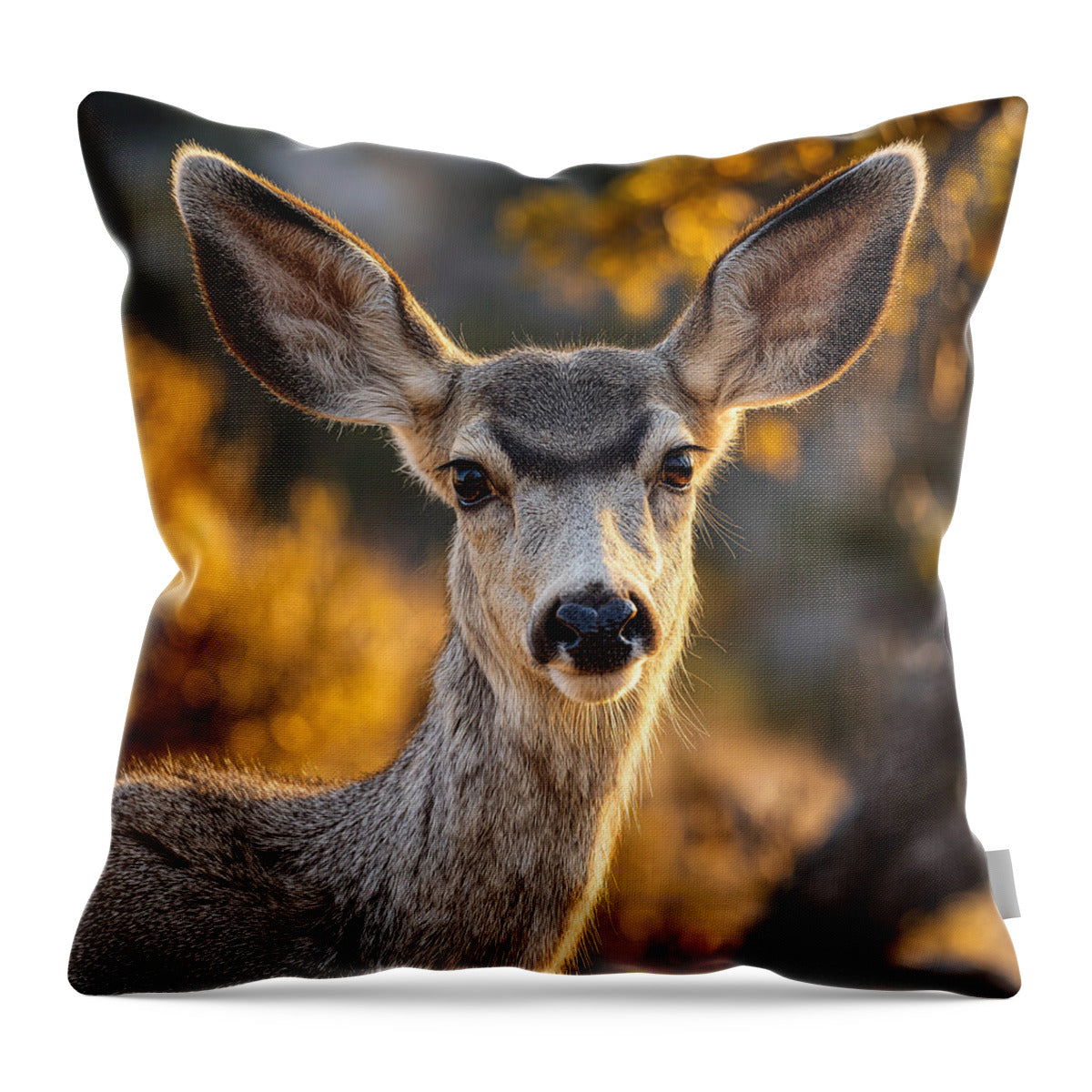Curious Deer in Autumn Light - Throw Pillow
