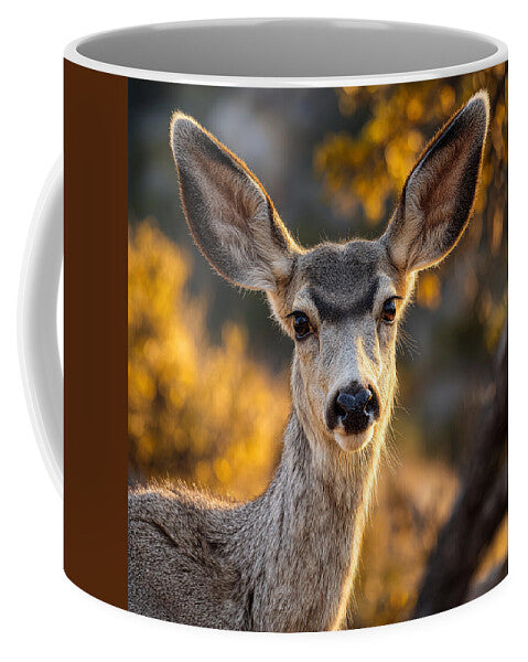 Curious Deer in Autumn Light - Mug