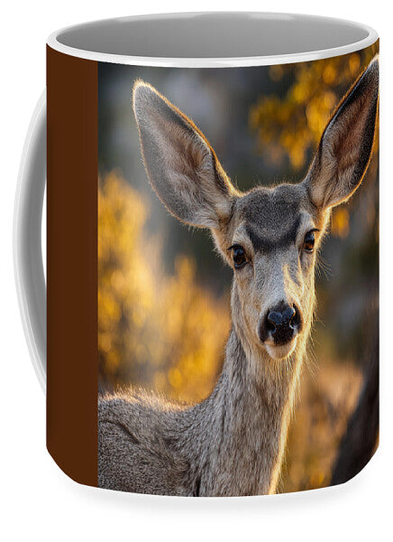 Curious Deer in Autumn Light - Mug