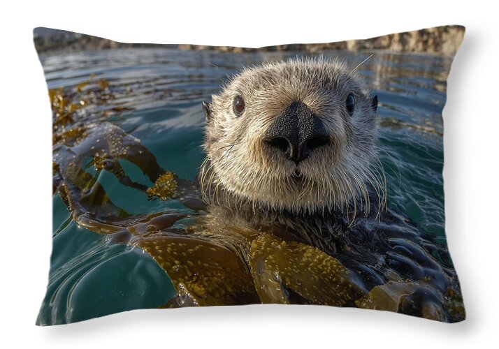 Curious Sea Otter Among Kelp - Throw Pillow