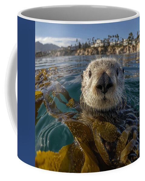 Curious Sea Otter Among Kelp - Mug
