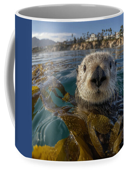 Curious Sea Otter Among Kelp - Mug