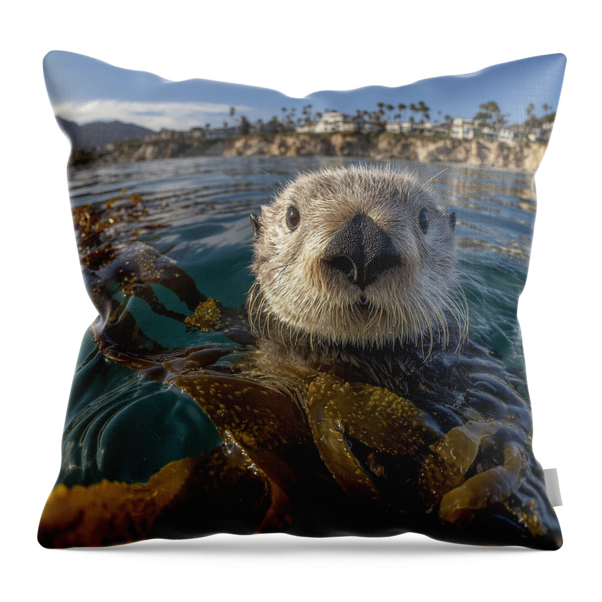Curious Sea Otter Among Kelp - Throw Pillow