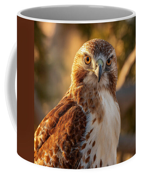 Majestic Hawk in Golden Light - Mug