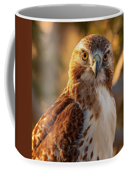 Majestic Hawk in Golden Light - Mug