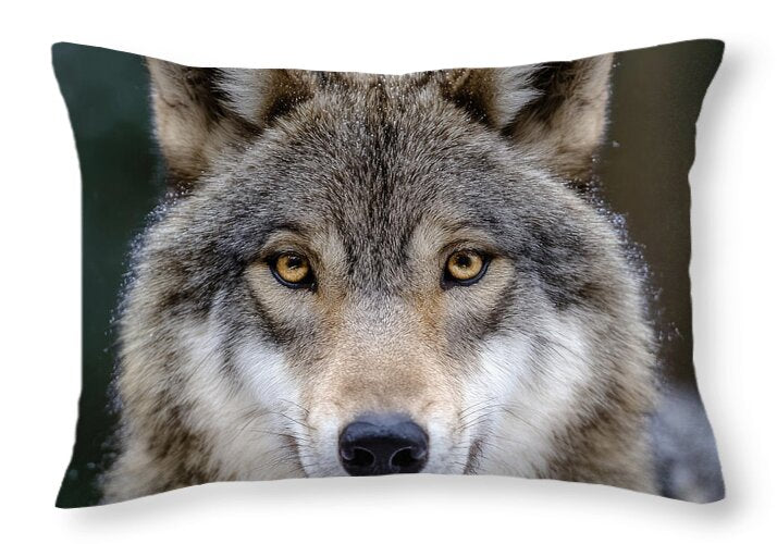 Majestic Wolf Portrait - Throw Pillow