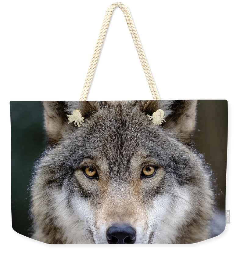Majestic Wolf Portrait - Weekender Tote Bag