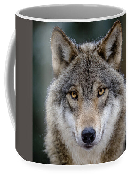 Majestic Wolf Portrait - Mug