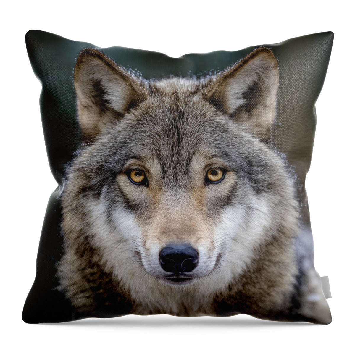 Majestic Wolf Portrait - Throw Pillow