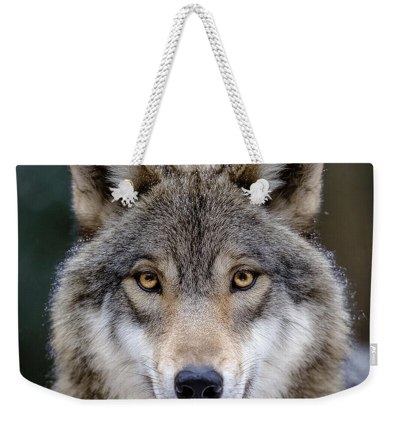 Majestic Wolf Portrait - Weekender Tote Bag