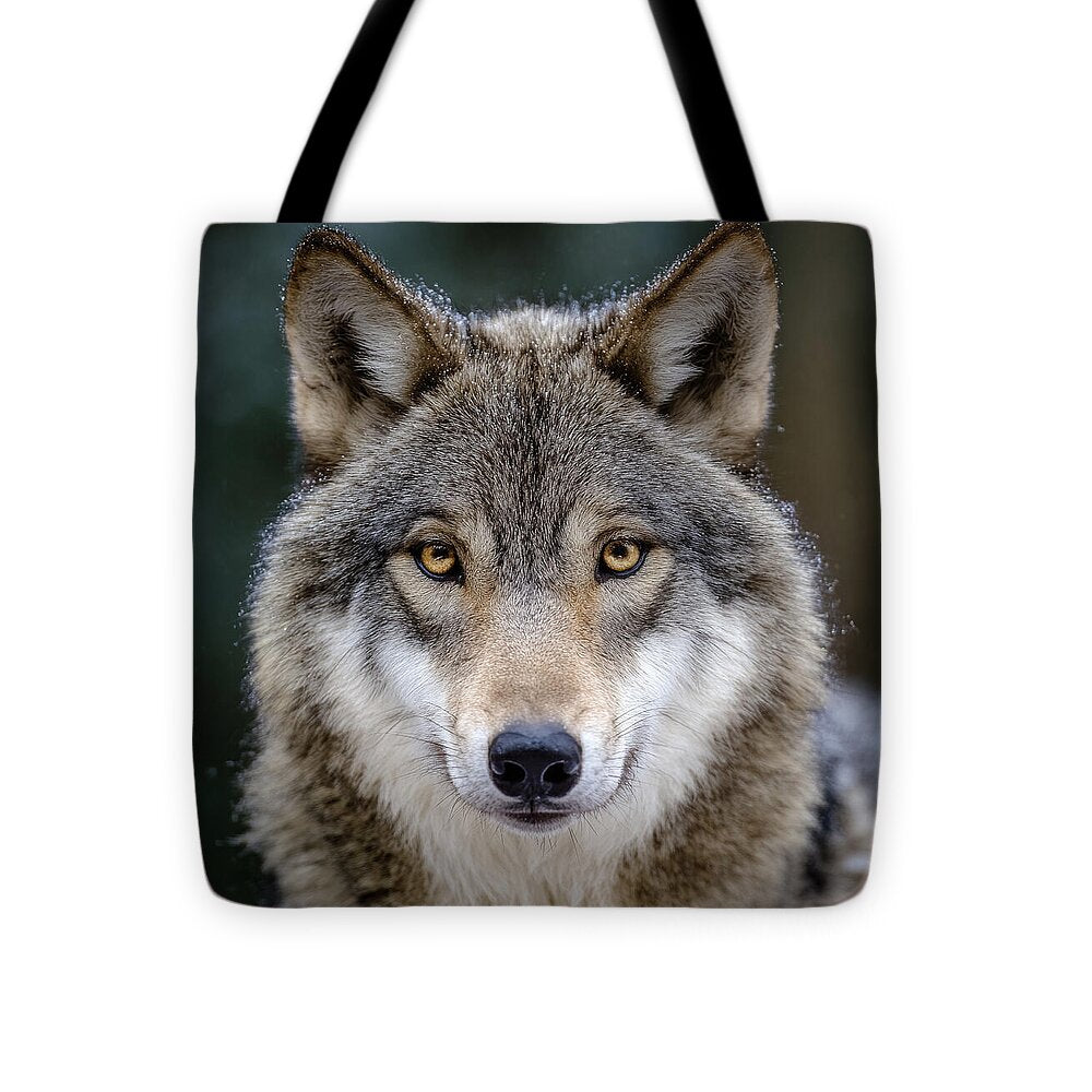 Majestic Wolf Portrait - Tote Bag