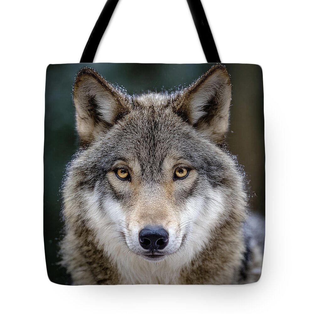 Majestic Wolf Portrait - Tote Bag