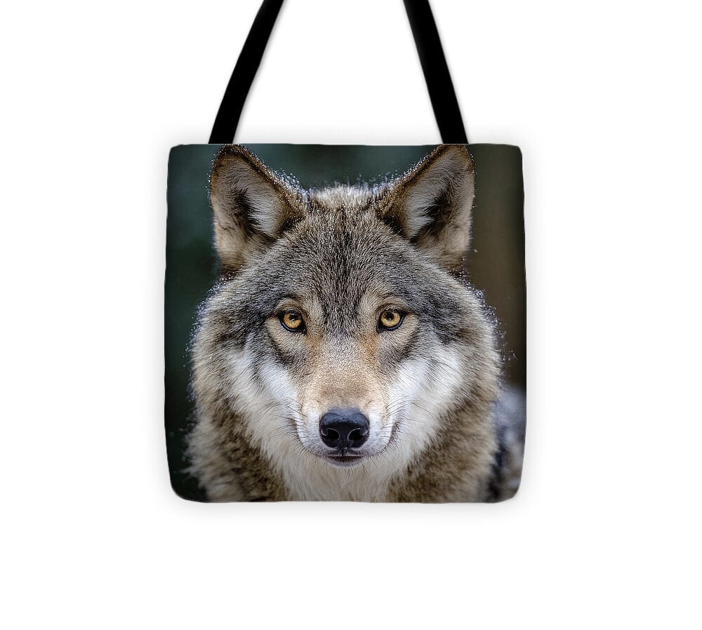 Majestic Wolf Portrait - Tote Bag