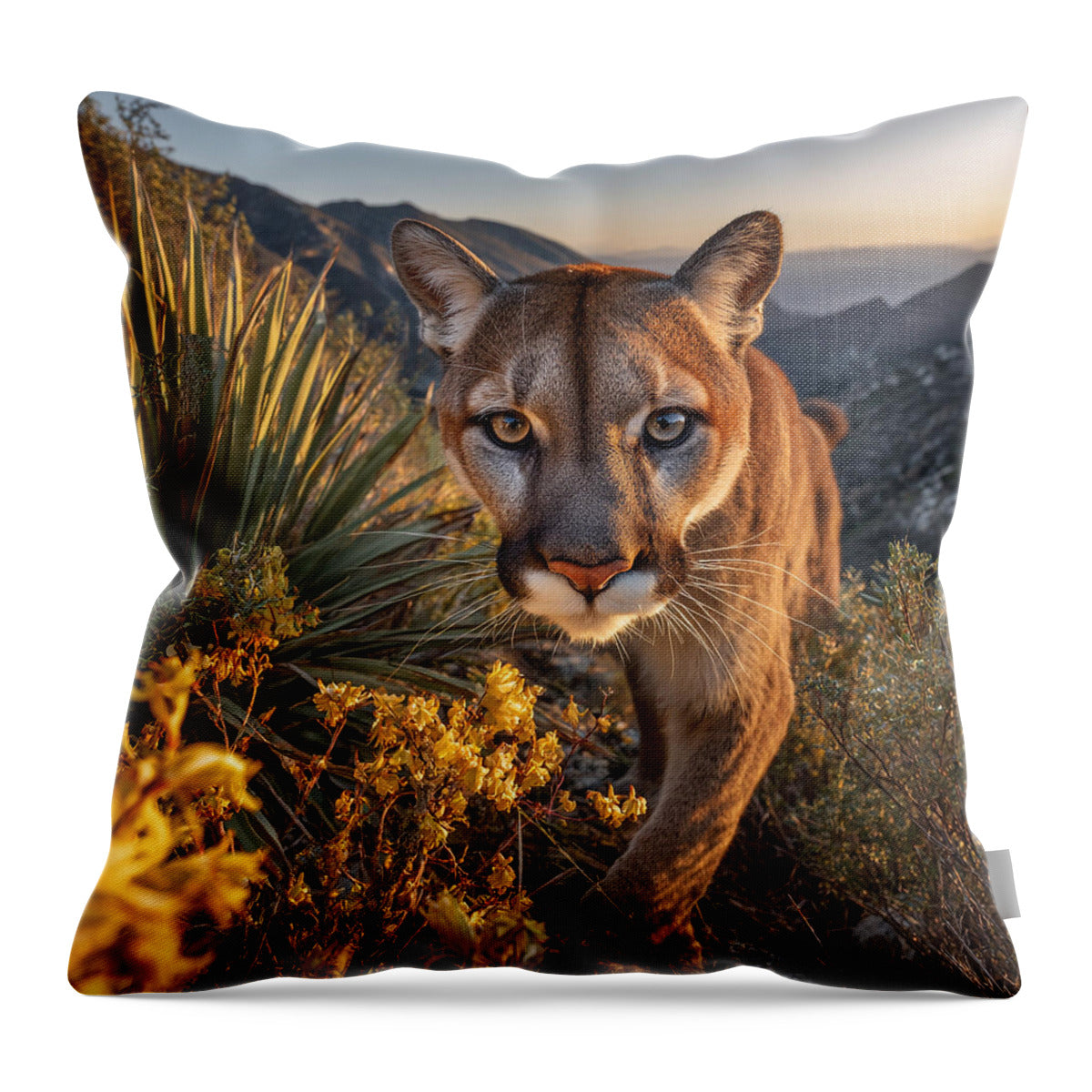 Mountain Lion at Sunset - Throw Pillow