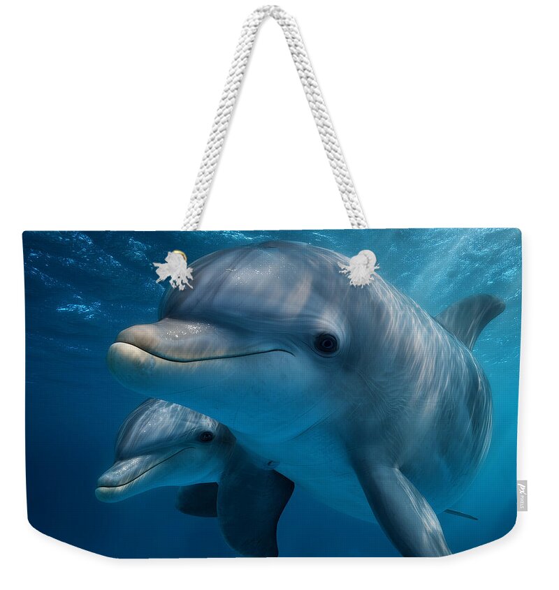 Pair of Graceful Dolphins Swimming - Weekender Tote Bag