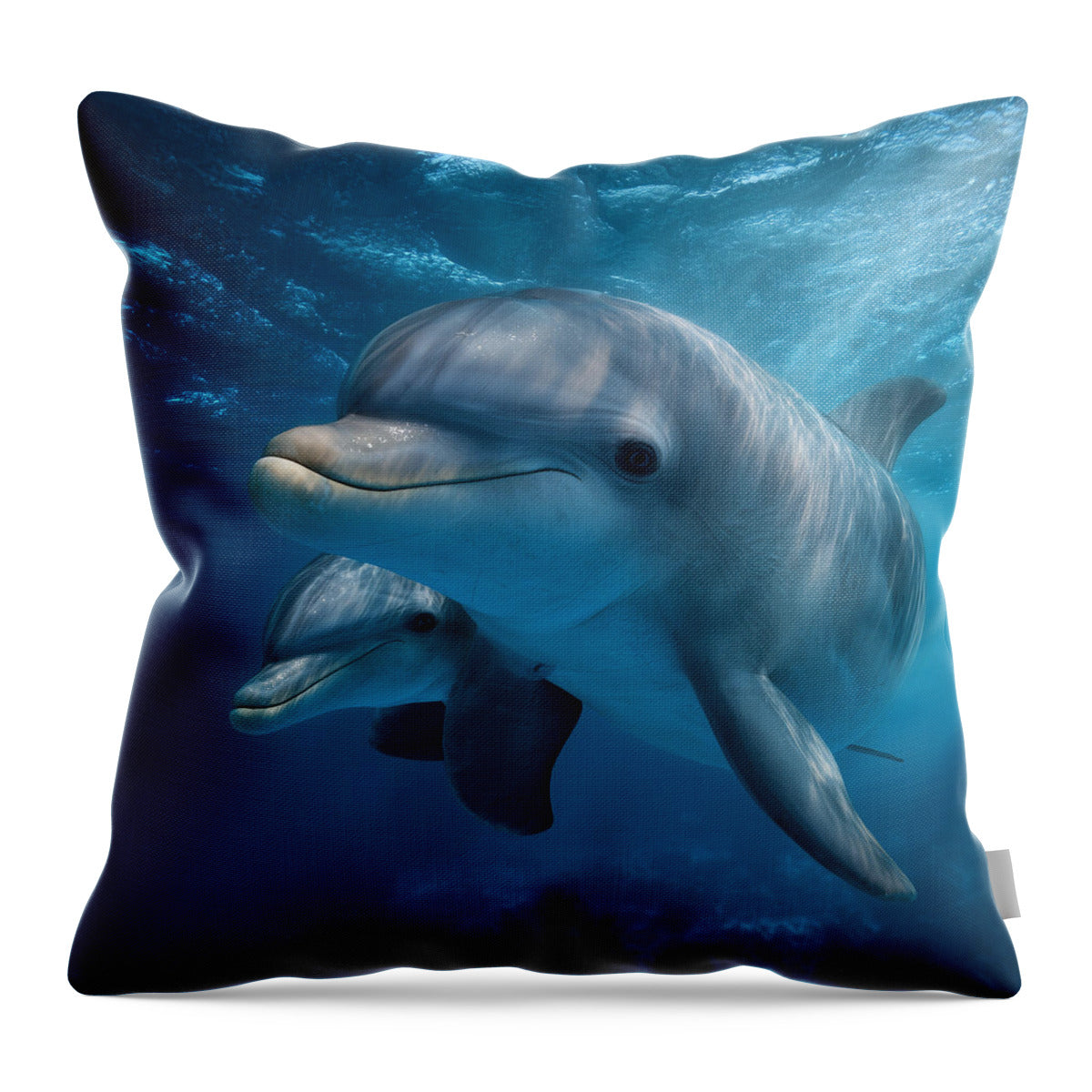 Pair of Graceful Dolphins Swimming - Throw Pillow