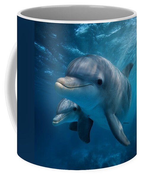 Pair of Graceful Dolphins Swimming - Mug