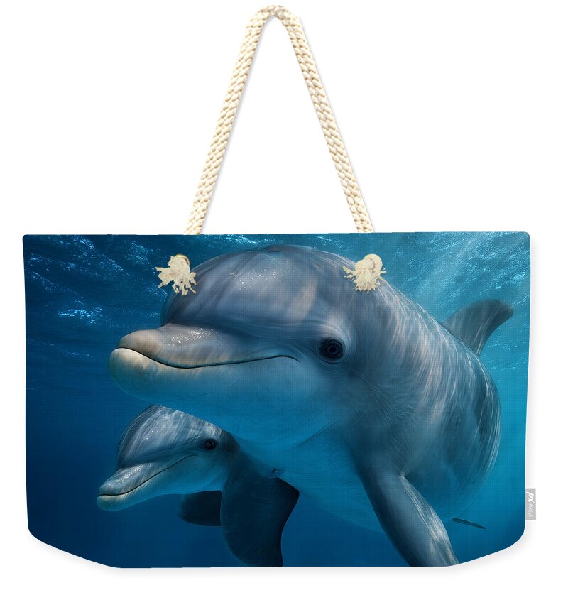 Pair of Graceful Dolphins Swimming - Weekender Tote Bag