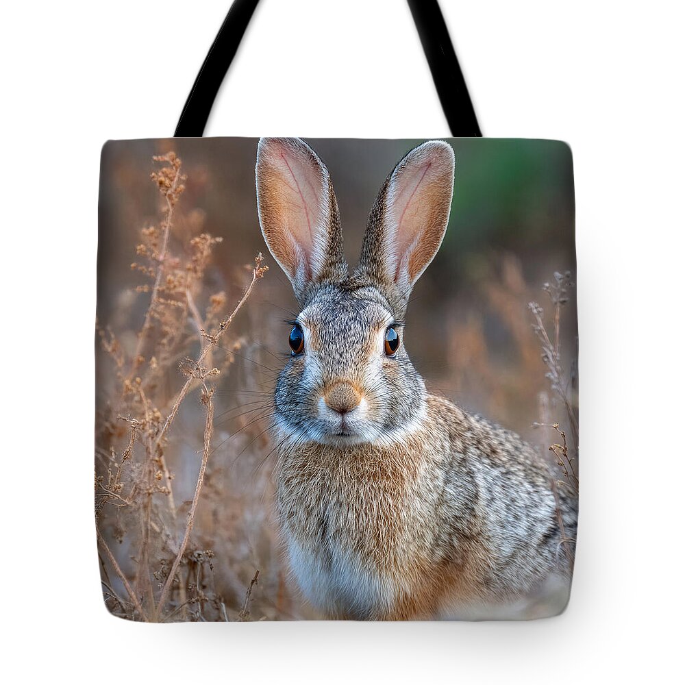 Rabbit in a Field - Tote Bag