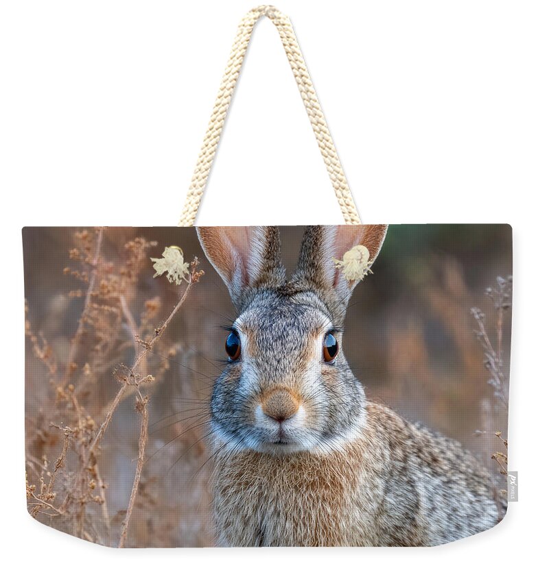 Rabbit in a Field - Weekender Tote Bag